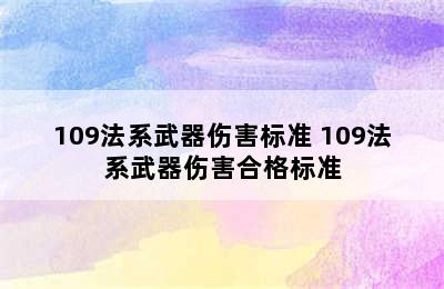 109法系武器伤害标准 109法系武器伤害合格标准